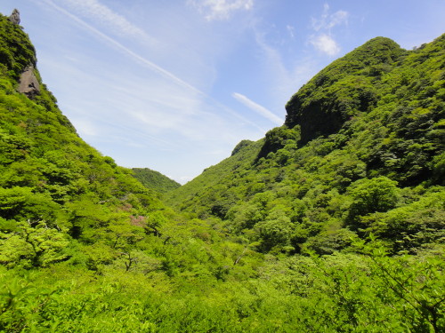 c0179351_1064576.jpg