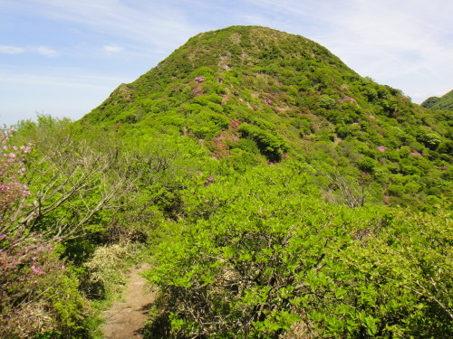 c0179351_1083165.jpg