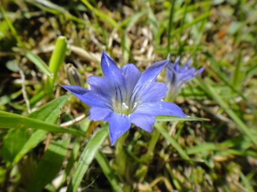 c0179351_9541833.jpg