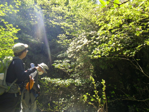 c0179351_9561290.jpg