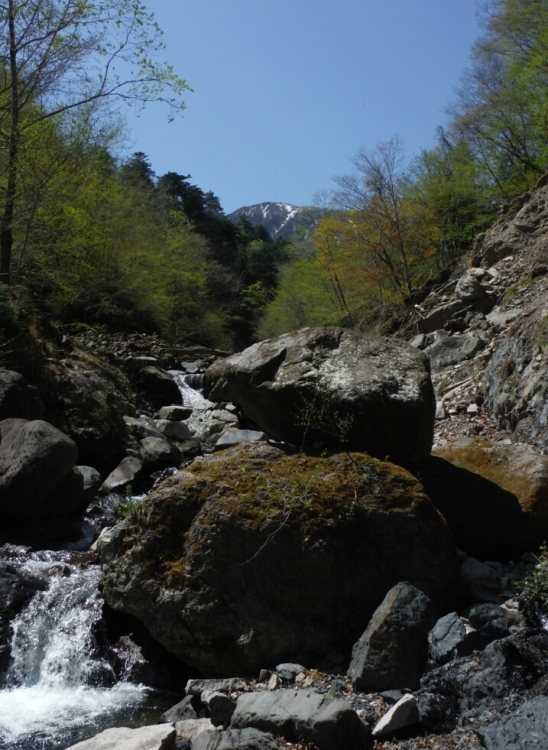 b0304662_15254596.jpg