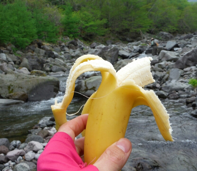 b0304662_15410901.jpg