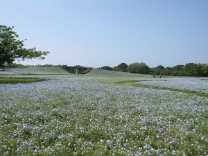 d0161578_1593150.jpg