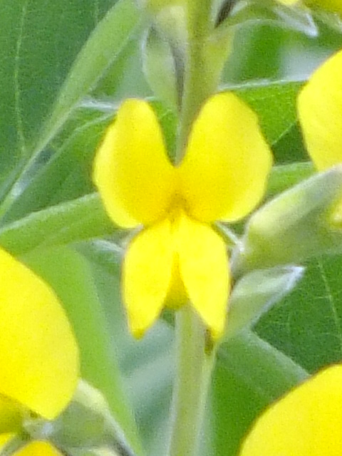 e0145782_514079.jpg