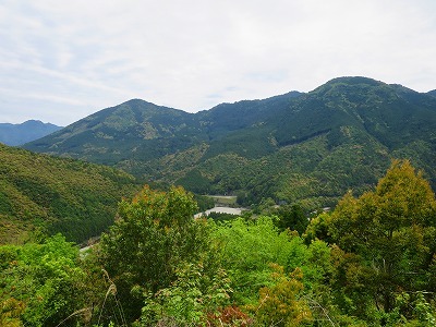 b0326483_21595295.jpg