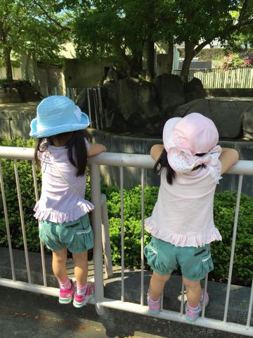 f0169186_15491236.jpg