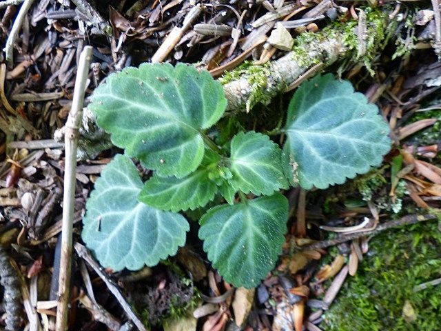 f0357487_13291476.jpg