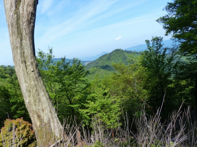 f0357487_1337756.jpg