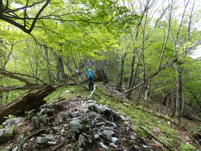 f0357487_13413276.jpg