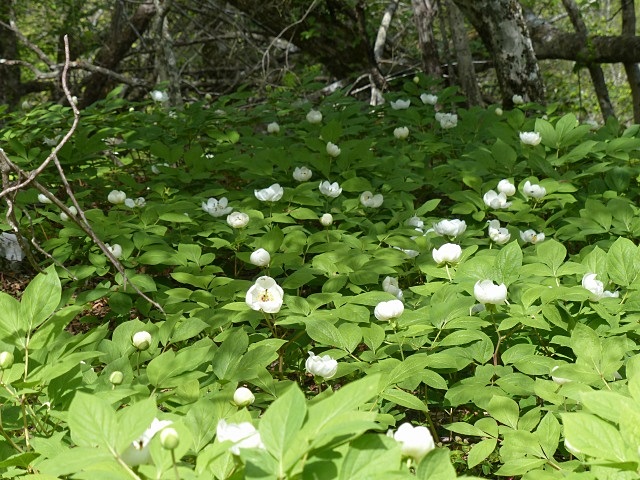 f0357487_14153610.jpg