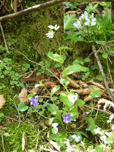 f0357487_1417289.jpg