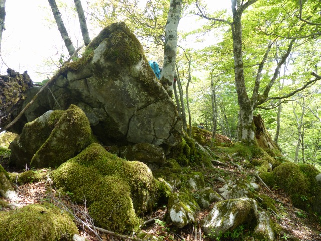 f0357487_14212458.jpg