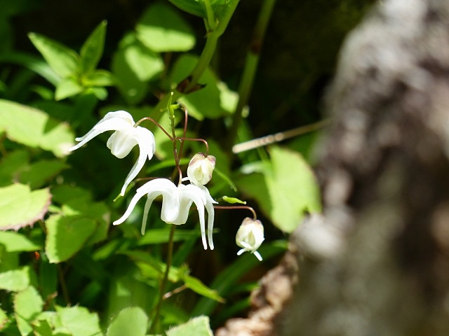 f0357487_14342423.jpg