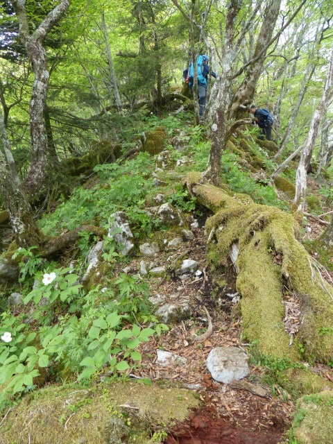 f0357487_1438311.jpg