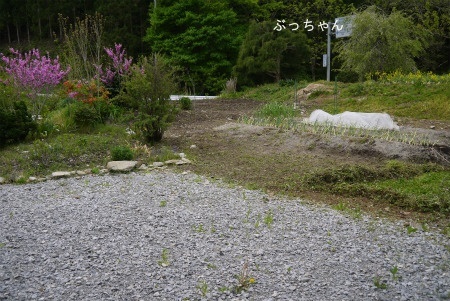 f0353990_19353720.jpg