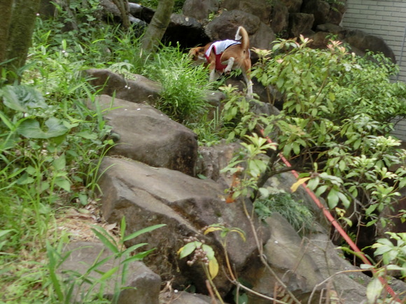 a0319693_22544079.jpg