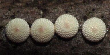 b0194593_92531.jpg