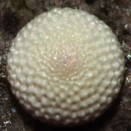 b0194593_94098.jpg