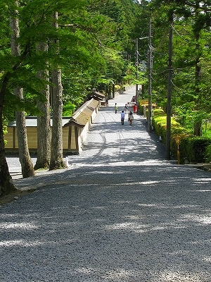 f0181394_19355834.jpg