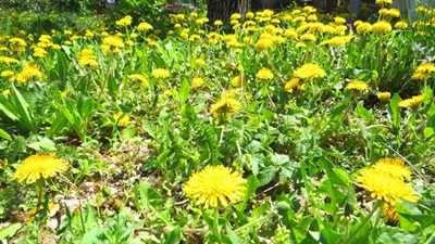 f0053297_2313562.jpg