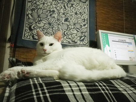f0239100_2343257.jpg