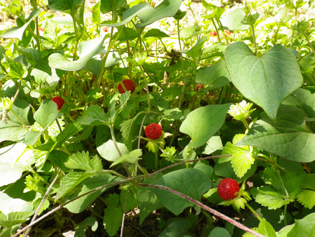 f0239100_23591760.jpg