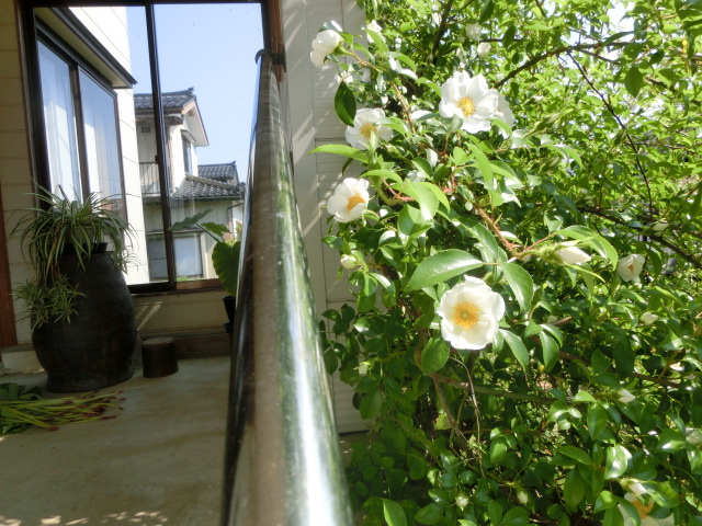 a0203003_13373167.jpg