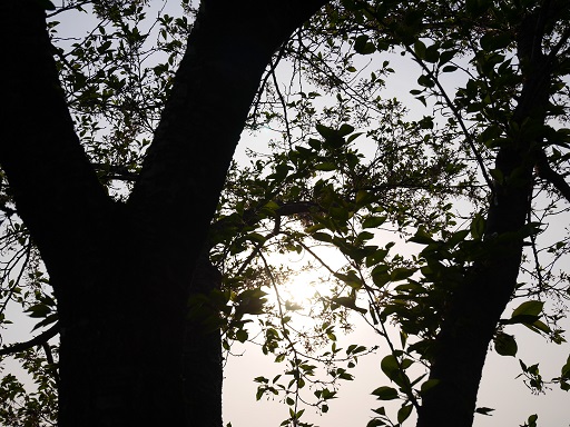 a0140305_2501920.jpg