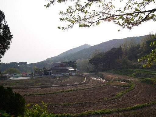 a0140305_250551.jpg