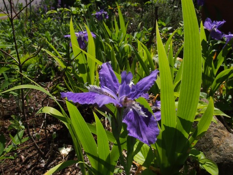 c0117007_1084421.jpg