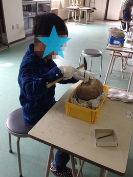 b0121019_19214748.png