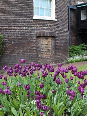 b0199526_20375025.jpg