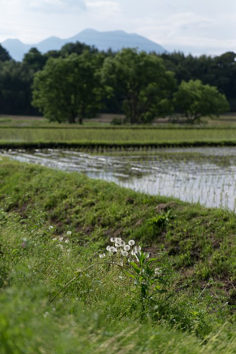 b0134829_22515593.jpg
