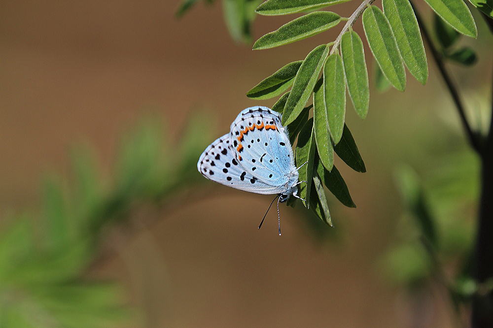 b0189231_14261710.jpg