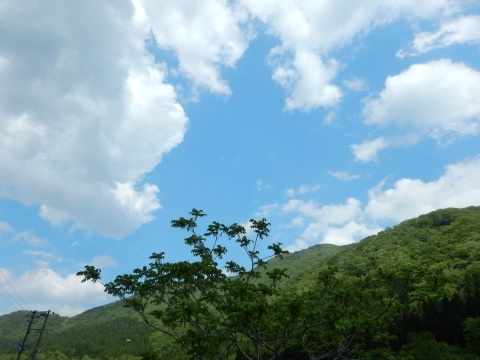 f0118332_20570234.jpg