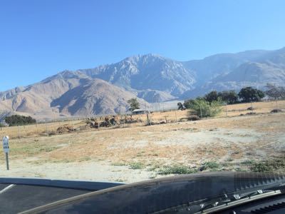 c0355834_16503149.jpg