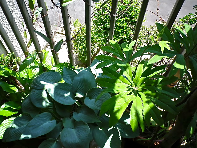 b0027736_22123028.jpg