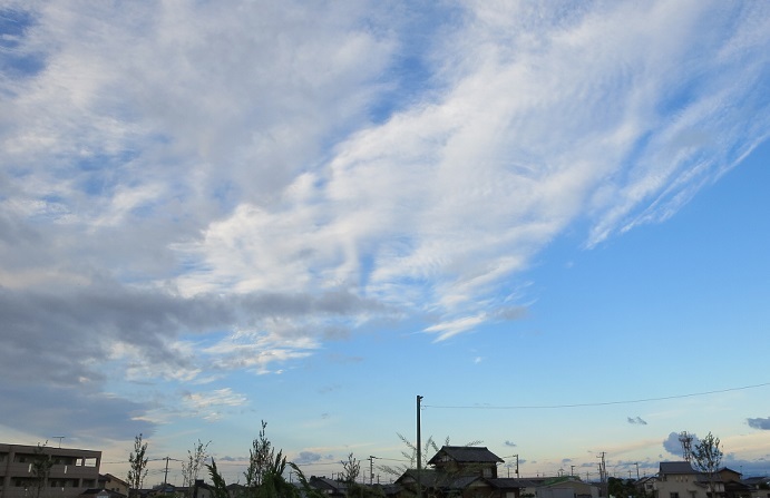 b0301236_10332806.jpg