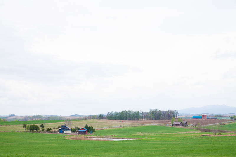 a0167638_22422037.jpg