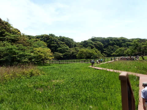c0097838_16071337.jpg