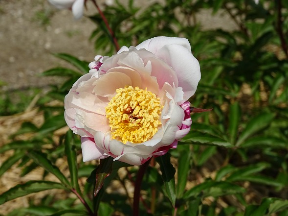 b0299042_14284445.jpg