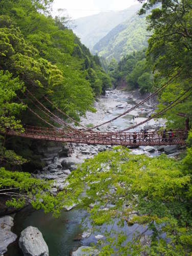 f0347942_21314485.jpg