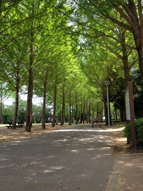 b0193344_17341367.jpg