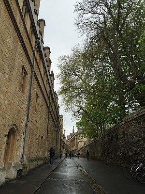 b0148547_1727565.jpg