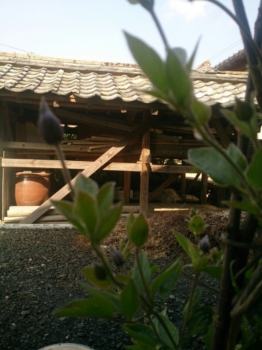 f0341250_06050071.jpg