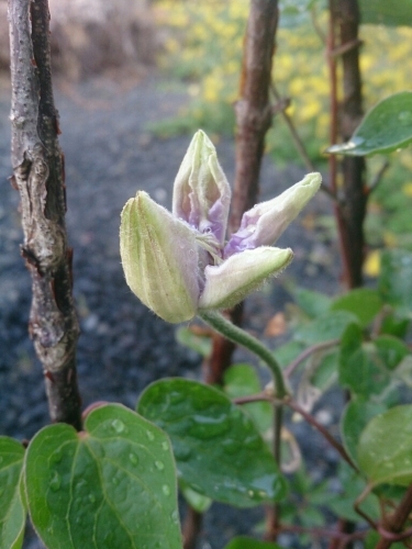 f0341250_06050426.jpg