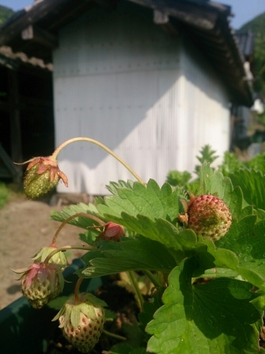 f0341250_06050712.jpg
