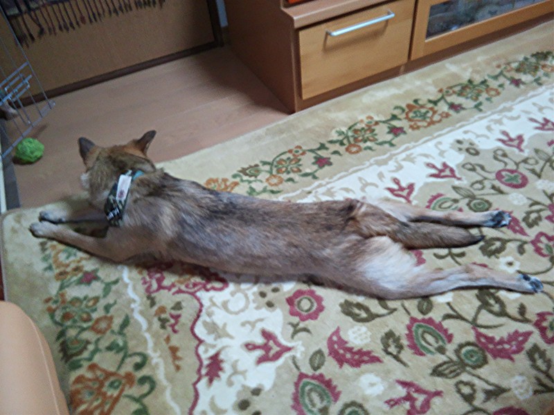 d0006253_0181610.jpg