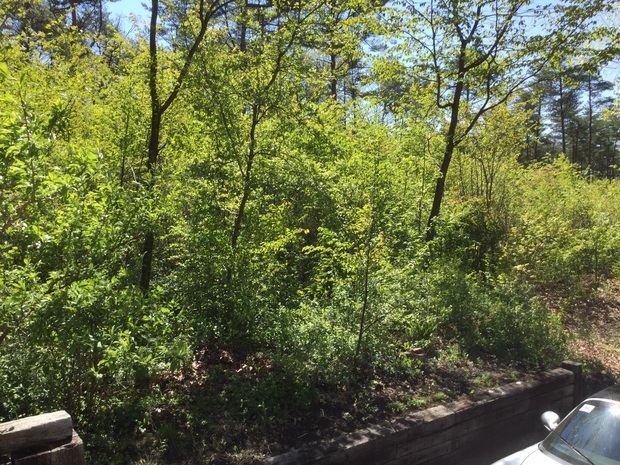 f0198556_12422490.jpg