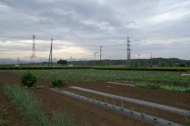 d0225575_101074.jpg